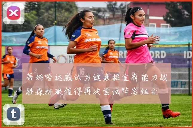 蒂姆哈达威认为健康掘金有能力战胜森林狼值得再次尝试阵容组合